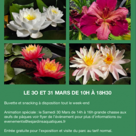 Foire aux Plantes Aquatiques 30 et 31 mars.